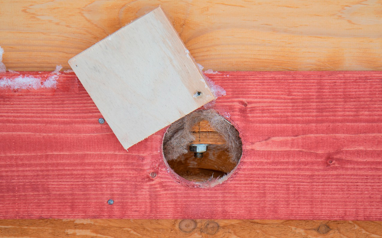 portfolio-img